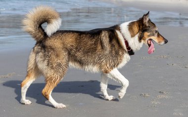 Kaliforniya 'nın dağları ve bulutları olan güzel manzarasına bakın.