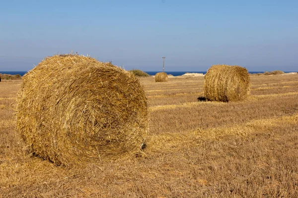 Las Balas Heno Campo Verano — Foto de Stock