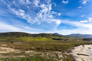 View on the California coast with blooming hills