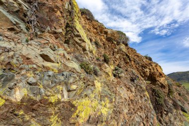 Yosun ve mavi gökyüzü ile kırmızı ve sarı kaya