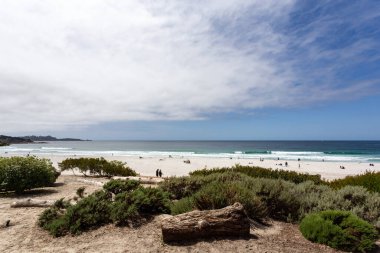 Deniz kıyısının güzel manzarası