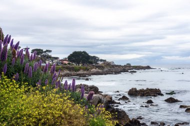 Doğanın güzel manzarası