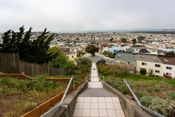 View City San Francisco Usa — 스톡 사진