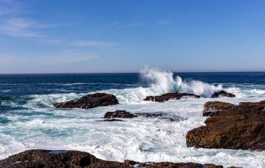 Deniz kıyısının güzel manzarası