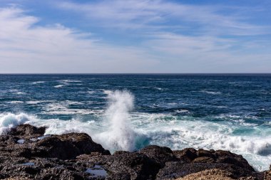 Deniz kıyısının güzel manzarası