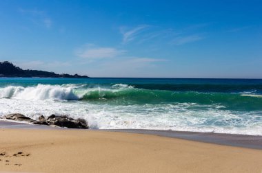Dalgaları ve mavi gökyüzü olan güzel sahil