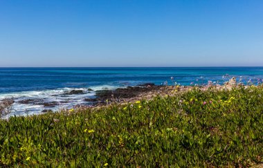 Deniz kıyısının güzel manzarası