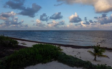 Deniz kıyısının güzel manzarası
