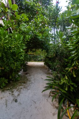 Parkın güzel manzarası