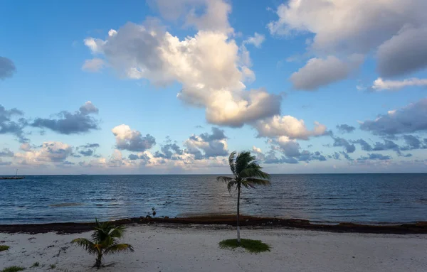 Prachtig Tropisch Strand Met Palmbomen Blauwe Lucht — Stockfoto