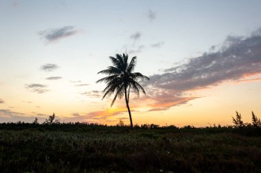 Denizin üzerinde güzel bir gün batımı