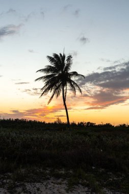 Denizin üzerinde güzel bir gün batımı