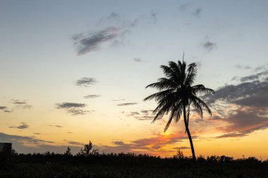 Denizin üzerinde güzel bir gün batımı