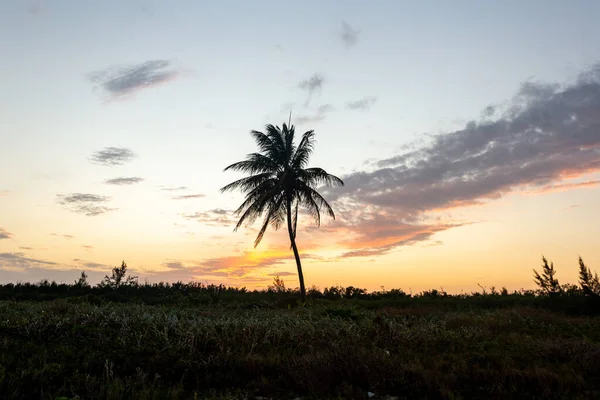 Denizin üzerinde güzel bir gün batımı