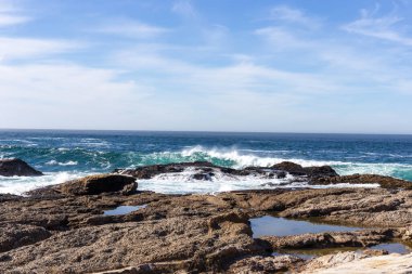 Deniz kıyısının güzel manzarası
