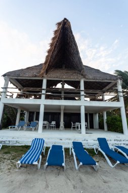 Deniz kıyısında plaj sandalyeleri ve şemsiyeler