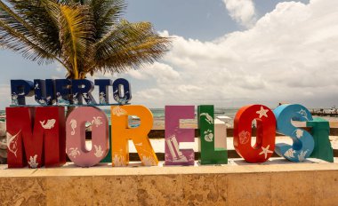 Palmiye ağaçları ve denizin olduğu sahile hoş geldiniz.