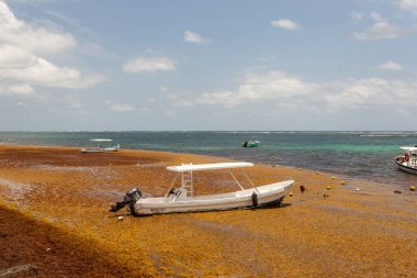 Sahilde bir balıkçı teknesi