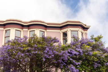 a view on the city of san francisco ca