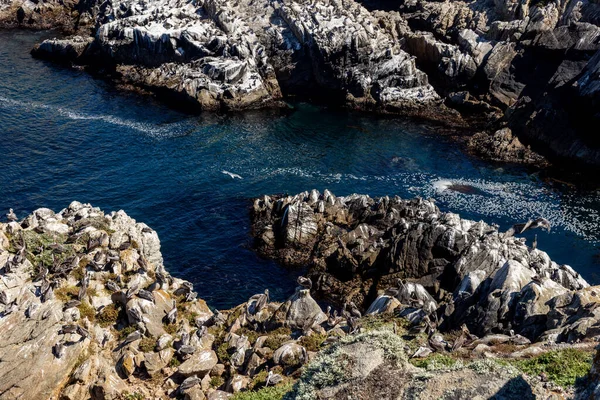 Vacker Utsikt Över Havet Kusten — Stockfoto