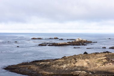 Deniz kıyısının güzel manzarası
