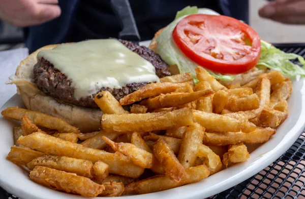 Burger Hranolky Talíři — Stock fotografie