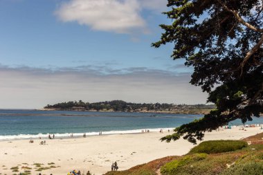 Palmiye ağaçları ve mavi gökyüzü olan kumsal