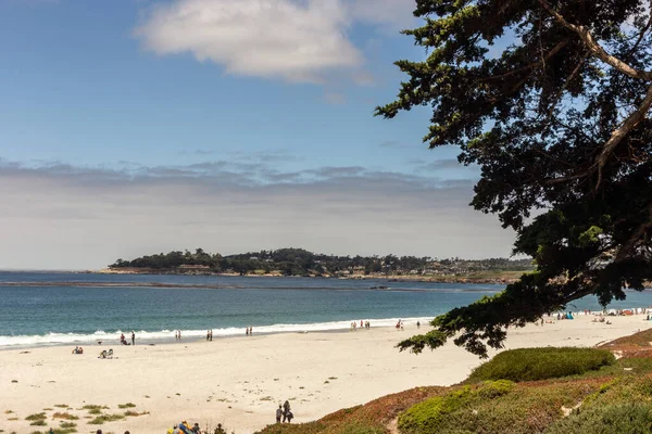 Plage Avec Palmiers Ciel Bleu — Photo