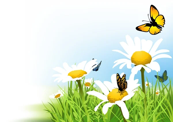 Papillons et marguerite — Image vectorielle