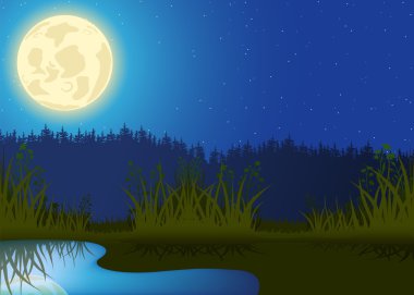 gece manzarası