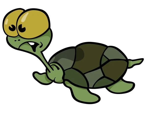 เต่าสีเขียว — ภาพเวกเตอร์สต็อก