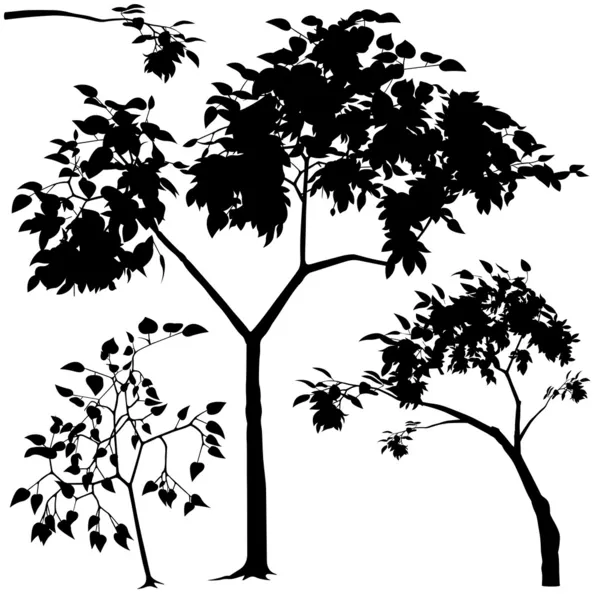 Silueta de árbol — Archivo Imágenes Vectoriales