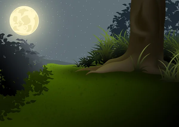 Paisaje nocturno — Vector de stock