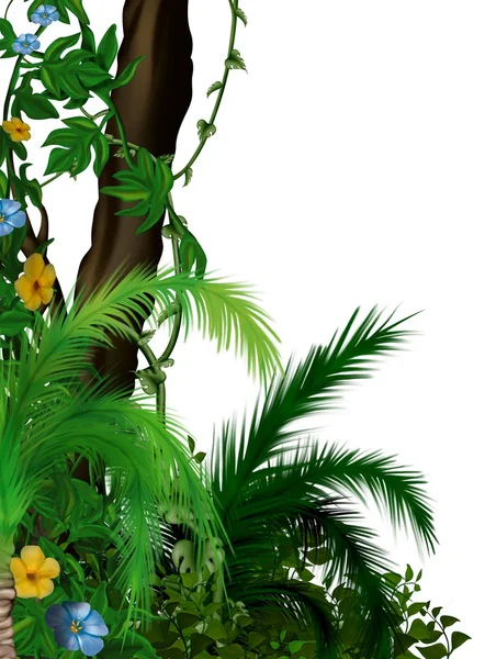 ジャングル植生 — ストック写真