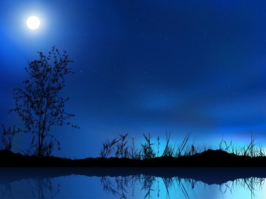 gece manzarası