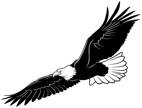 Águila calva voladora — Vector de stock