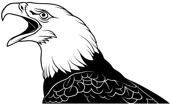 Cabeza de águila calva — Vector de stock