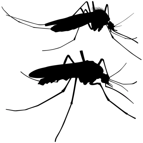 Силуэты комаров — стоковый вектор