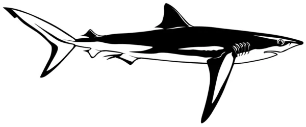 Shark — Stock Vector