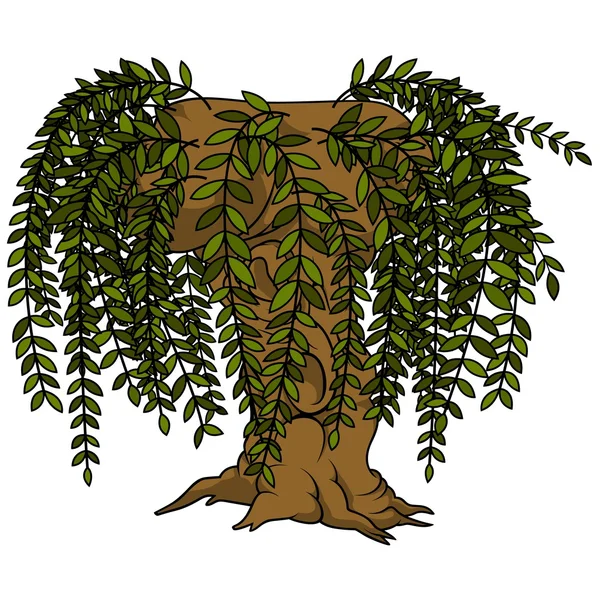 Árbol de sauce — Vector de stock