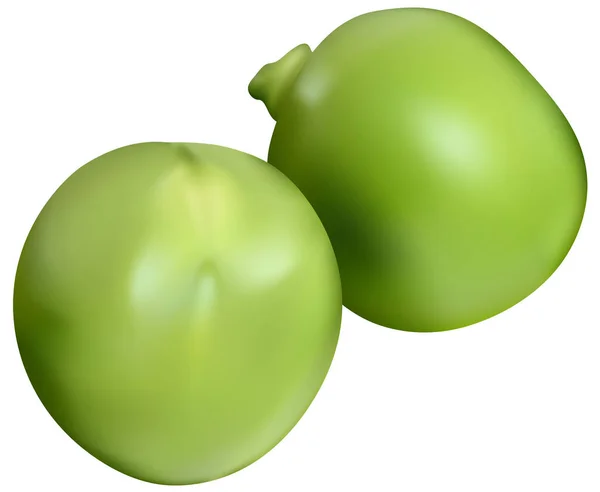 Two Green Peas Colored Photorealist Illustration Isolated White Background Vector — стоковий вектор