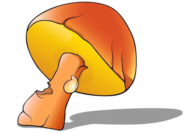 作为卡通森林蘑菇的橙冠Boletus 基于白色背景的彩色图解 — 图库矢量图片