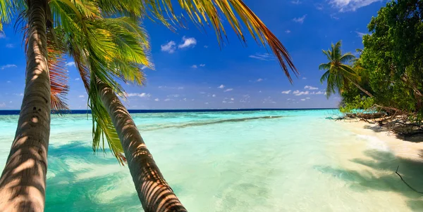 Coucher de soleil aux Maldives — Photo