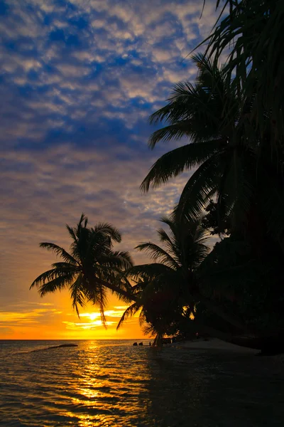 Maldivian Sunset — Stock Photo, Image