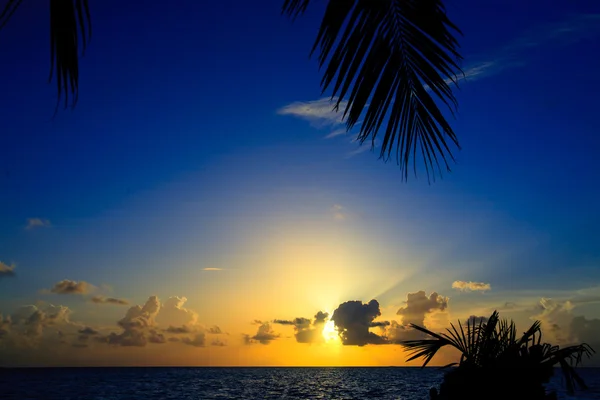 Maldiviska sunset — Stockfoto