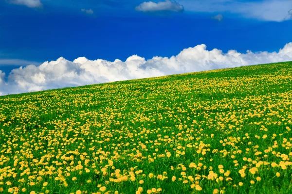 Maldivlere gün batımı — Stok fotoğraf