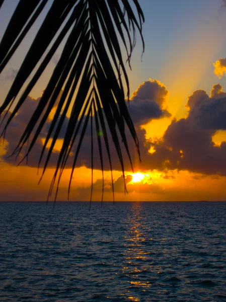 Maldív-szigeteki naplemente Jogdíjmentes Stock Képek