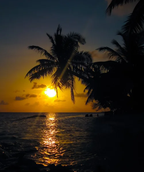 Pôr do sol das Maldivas — Fotografia de Stock