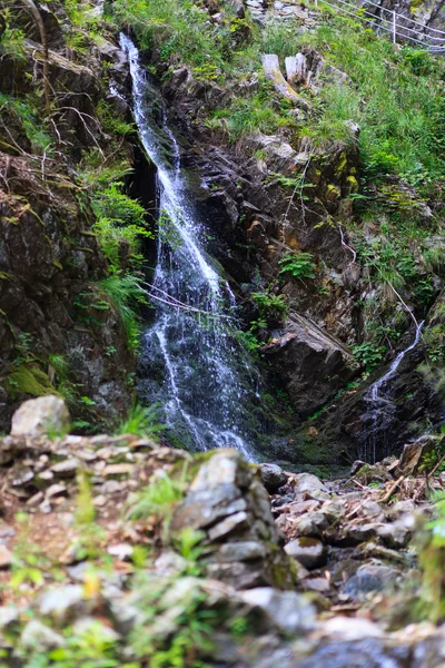 Cascade in black forest — Stock Photo, Image