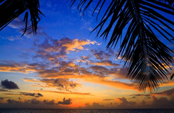 Pôr do sol das Maldivas — Fotografia de Stock